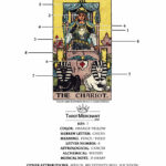 Chariot Card Tarot Meaning