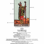 Page Of Wands Tarot Card Meaning
