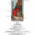 The King Of Wands Tarot Card Meaning