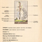 Meaning Of Ace Of Wands Tarot Card