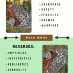 What Does Empress Card Mean In Tarot