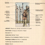 Ix Of Wands Tarot Card Meaning