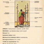 Three Of Wands Tarot Card Meaning